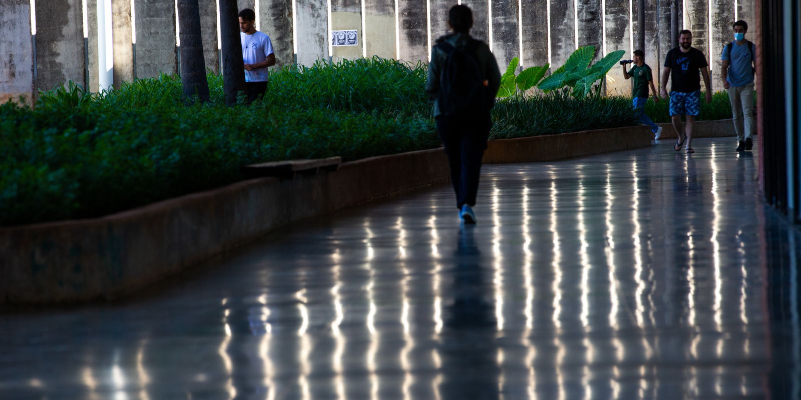 A Universidade de Brasília (UnB) divulgou nota de repúdio contra “atos de violência e depredação de patrimônio público” que teriam sido praticados por um candidato de extrema…