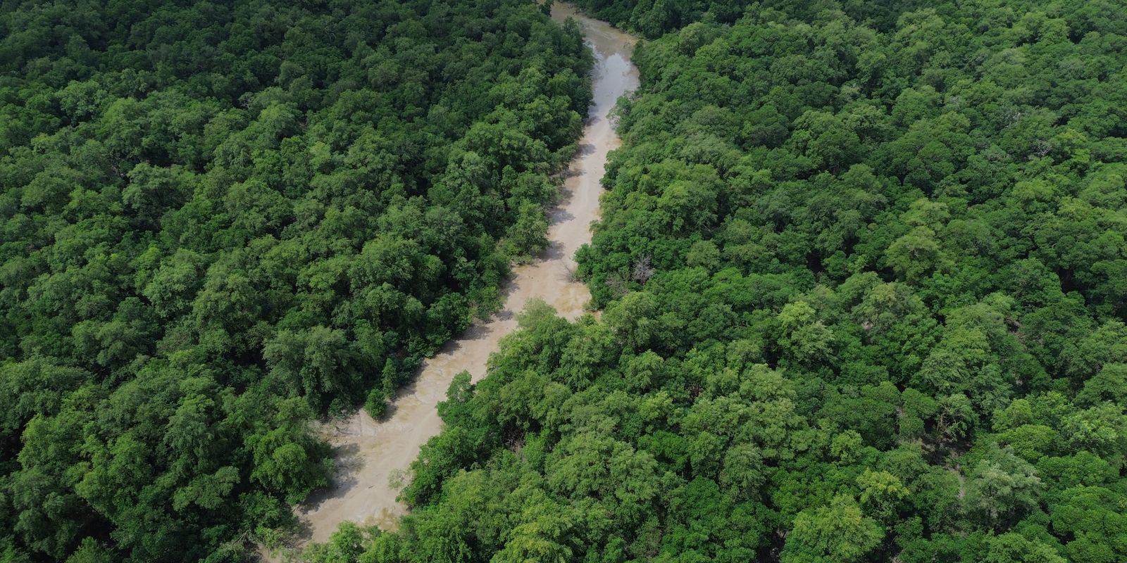 Virada Cultural Amazônia de Pé incentiva as pessoas a escolher candidatos que estejam comprometidos com a conversação ambiental